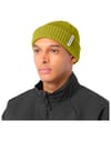 Salomon + Docker Beanie U Cardamon Seed - 3