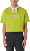 Salomon + Brandplay Rx SS Tee M Cardamon Seed