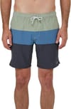 Salty Crew + Beacons 2 Elastic Boardshort Dusty Sage - 3