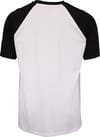 Santa Cruz + Warp Broken Dot Raglan T-Shirt Black/ White