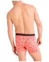 Saxx Underwear + Daytripper Fête Perroquet-Corail Fusion - 4