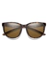 Smith + Lake Shasta Tortoise