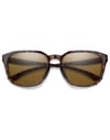 Smith + Contour Tortoise Polarized Brown