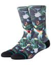Bird Cage Crew Black + Stance