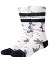 Kool Katz Surf Crew Canvas + Stance