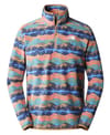 M 100 Glacier 1/4 Zip Utility Brown Panorama Print + The North Face
