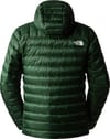 The North Face + M Summit Breithorn Hoodie Pine Needle
