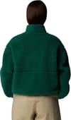 The North Face + W Extreme Pile 2 Pullover Evergreen/TNF Black - 3