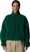 The North Face + W Extreme Pile 2 Pullover Evergreen/TNF Black - 5