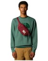 The North Face + Berkeley Lumbar Sumac/Alpine Plum - 5
