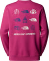 The North Face + W Outdoor Graphic Crew Cyber Berry - 3