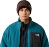 The North Face + Salty Lined Beanie Smokey Brown - 4