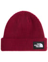Salty Lined Beanie Burgundy Crush + The North Face