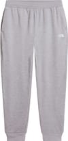 M TNF Performance Fleece SW Pant TNF Pale Grey Heather + The North Face