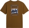 The North Face + M North Faces Reg SS Tee Graphic Caraway Seed - 3