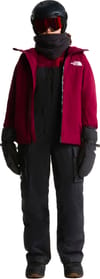 The North Face + W Freedom Insulated Bib TNF Black - 5