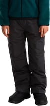 The North Face + B Freedom Insulated Pant TNF Black - 3