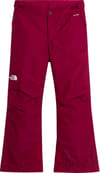G Freedom Insulated Pant Burgundy Crush + The North Face