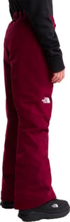 The North Face + G Freedom Insulated Pant Burgundy Crush - 4