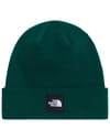 Dock Worker Recycled Beanie Hunter Green + The North Face