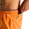 The North Face + M Summit Pacesetter Short Graphic Papaya - 5