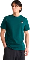 The North Face + M Monte Reg SS Tee Graphic Pacific Teal - 4