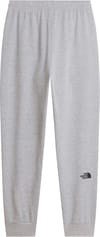 The North Face + M Evo Box Half Dome Regular Tapered Jogger TNF Pale Grey Heather