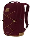 The North Face + Jester Pro Deep Burgundy Leather
