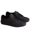 Vans + Skate Rowley Black/Black