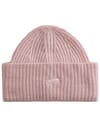 Densmore Wide Cuff Beanie Pale Petal + Vans