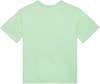 Volcom + Stone Blanks Basic SS Tee Ice Green