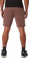 Sunday Performance Short 8" M Sable Heather