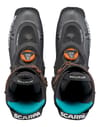 Scarpa + Alien Carbon Grilamid Azure - 7