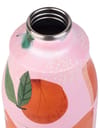 Cabaïa + Gourde 500 ml Biwa - 5