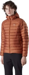 Arc'Teryx + Cerium LT Hoody Men's Komorebi