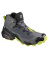 Cross Hike Mid Gtx Magnet/Bk/Lipu + Salomon