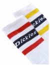 Dickies + Genola White - 3