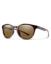 Eastbank Tortoise Polarized Brown + Smith