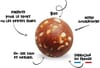Overstims + Energy Balls Bio Breizh Overstims Caramel Beurre Salé - 5