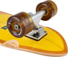Arbor + Foundation Pocket Rocket