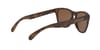 Oakley + Frogskins Matte Tortoise Prizm Tungsten - 7