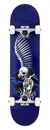 Full Skull 2 + Birdhouse