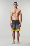 Picture Organic Clothing + Kaude 19 Boardshorts Wood - 3