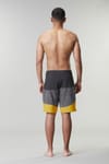 Picture Organic Clothing + Kaude 19 Boardshorts Wood - 5