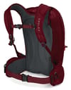 Osprey + Kresta 20 Rosewood Red