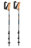 Leki + Legacy Lite
