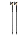 Black Series FX Carbon + Leki
