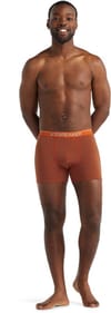 Icebreaker + M Anatomica Boxers Spice/Mink/S - 4