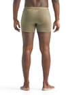 Icebreaker + M Anatomica Cool Lite Boxers Flint  - 4