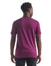 Icebreaker + M Spector SS Crewe Peak Patterns Brazilwood - 3